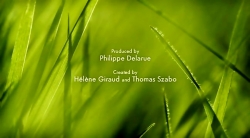 خیلی خیلی کوچک (2) (حشرات آبی)